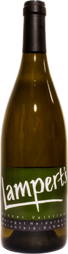 Unser Grüner Veltliner ist Ausdruck der Böden, des Wetters, der Höhe und der Menschen, die ihn pflegen und vinifizieren. Der Wein präsentiert sich in seiner Jugend mit einer wunderschönen Frische und Frucht. Aromen nach Grapefruit, Blüten und reifem Pfirsich werden durch dezente pfeffrige Würze und eine filigrane Mineralität ergänzt. Vergoren und mit der vollen Hefe ausgebaut für ein Jahr im 1100 Liter Fass aus Akazien- und Eichenholz.