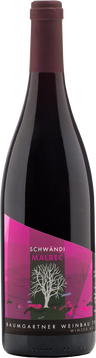 Lage
Klingnau «Schwändi»

Traubensorte
Malbec

Wein
Tiefdunkles Purpur. Füllig, charmant und reichhaltig, mit überragender subtiler Malbec Frucht am Gaumen, erstaundliche Struktur, attraktiv und offen mit unerschöpflicher Tiefe. Schon jetzt eine hochkarrätige Alternative zum Pinot noir, gewinnt durch weitere Lagerung. Passt vorzüglich zu grilliertem Rindsentercôte.

Kelterung
Geerntet bei optimaler Traubenreife, gesöndert, abgebeert und rund 2/3 gequetscht, Kaltstandzeit (zur Förderung der Aromaintensität), 100% maischenvergoren, mit Starttemperatur und kontrollierter Gärtemperatur bei 25-28°C, wird in kleinen Gärstanden traditionell von Hand gestösselt, 100% Biologischer Säureabbau. Der Malbec reift für rund 12 Monate im Barrique aus.

Trinktemperatur
17 bis 19°C