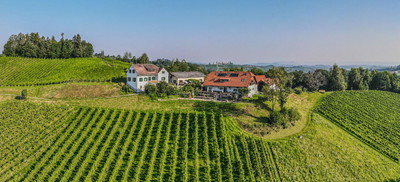 Weingut Buschenschank Hack-Gebell