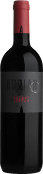 Tribus