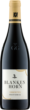 2018 Sonnenstück Pinot Noir GG