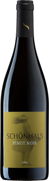 Biebelnheimer Pinot Noir Löss