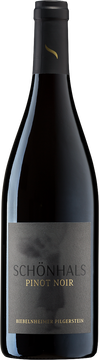 Biebelnheimer Pinot Noir Pilgerstein