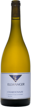 Chardonnay trocken, Geradstettener Lichtenberg