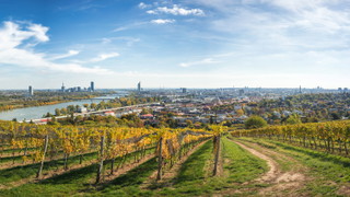 Vienna