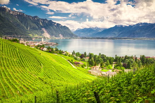 Canton of Vaud