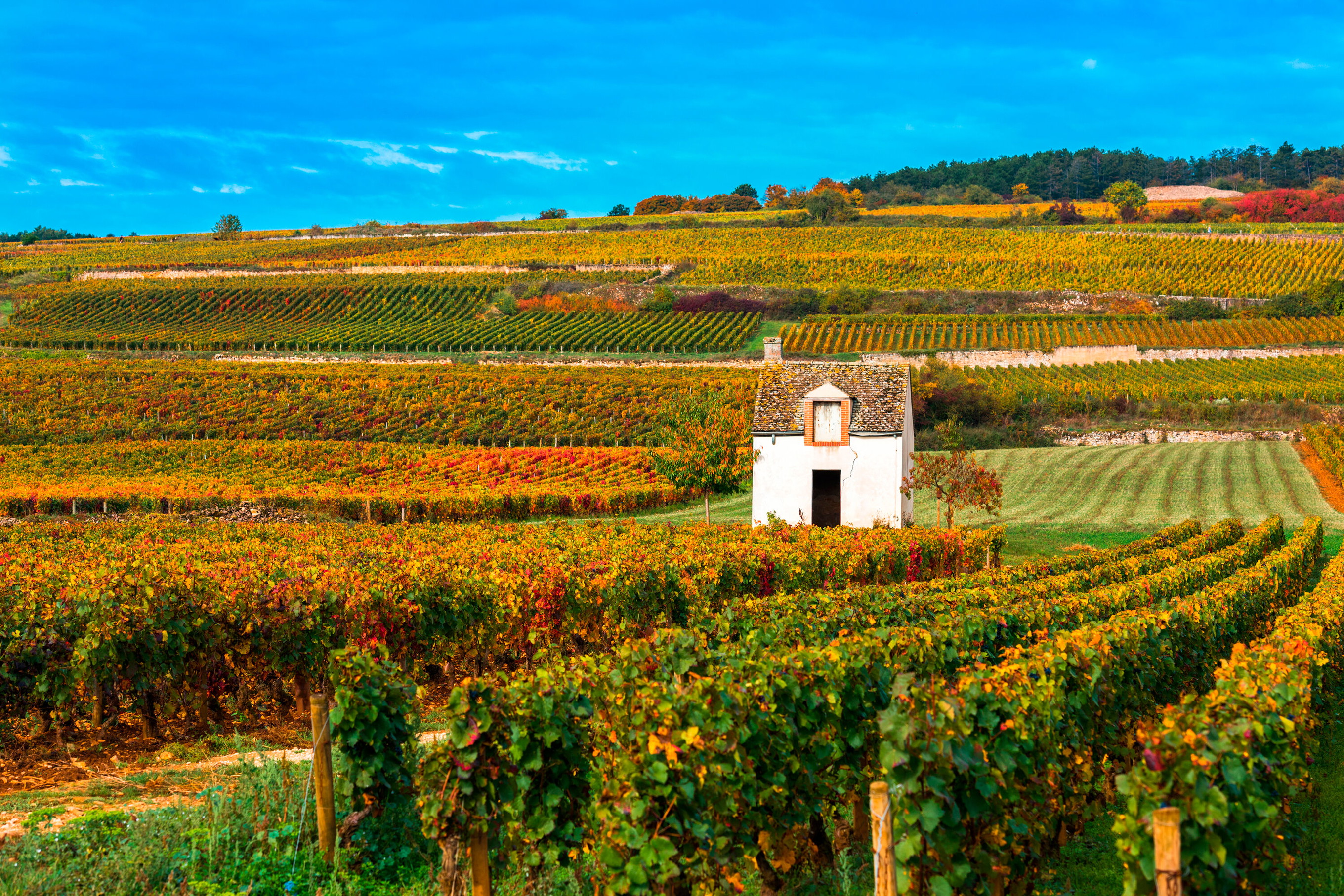 Bourgogne