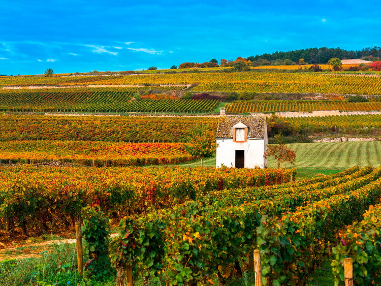 Bourgogne