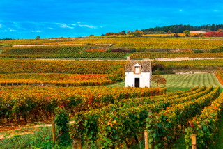 Burgund