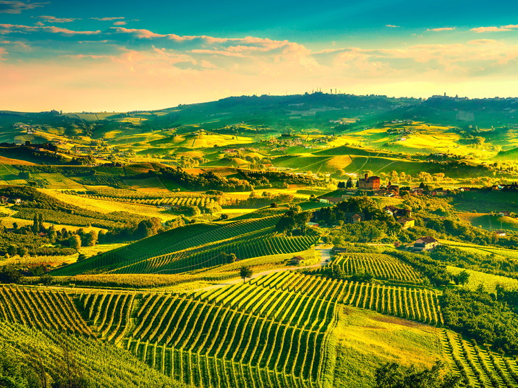 Piedmont
