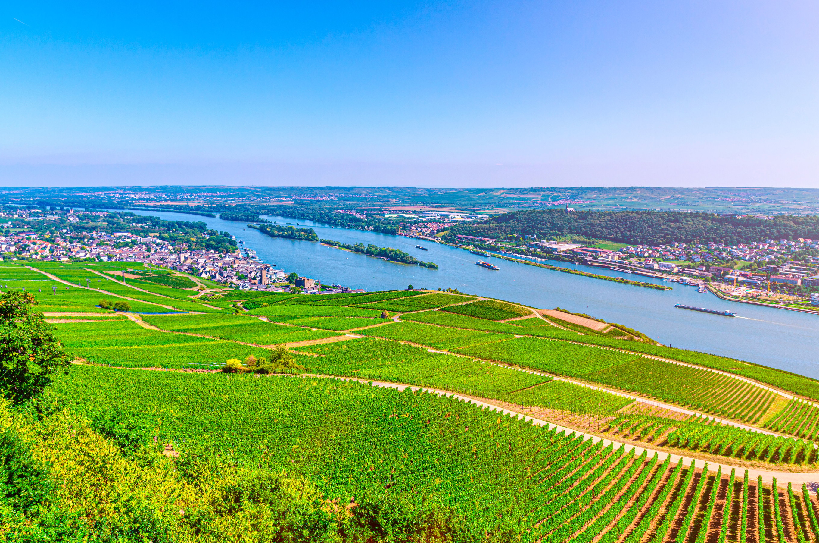 Rhine Hesse
