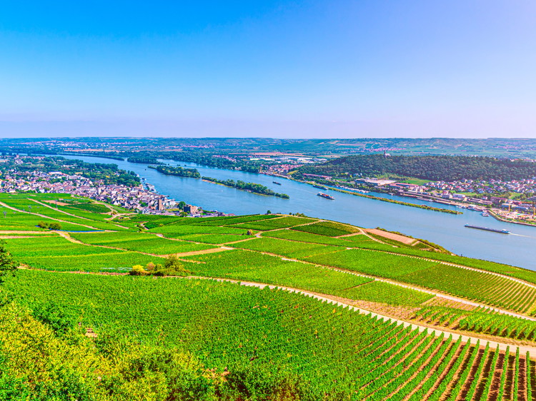 Rhine Hesse