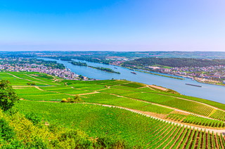 Rhine Hesse