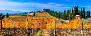 Brunello di Montalcino