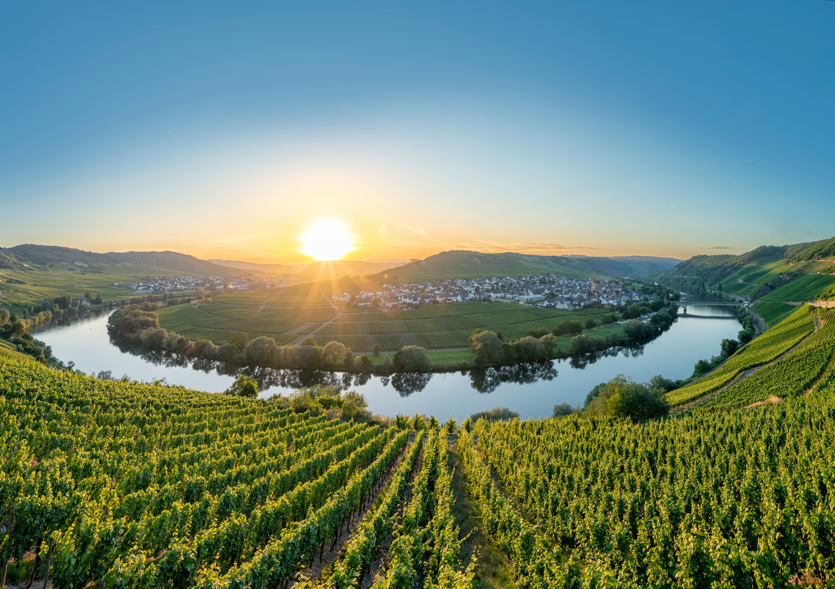 Moselle