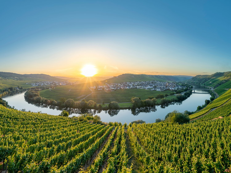 Moselle