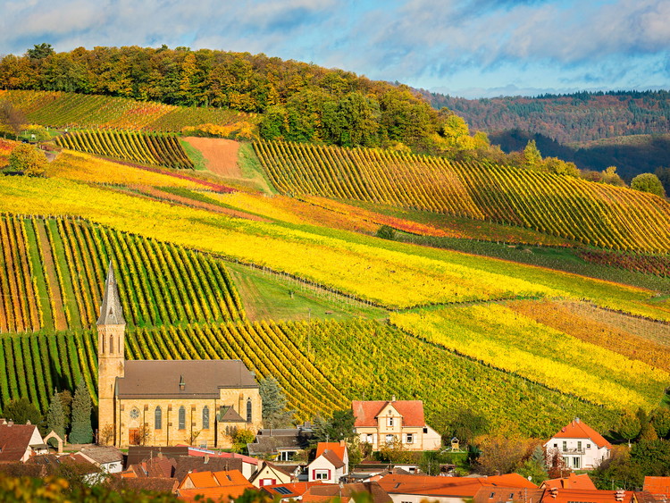 Pfalz (Palatinate)