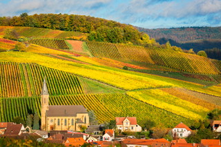 Pfalz (Palatinate)