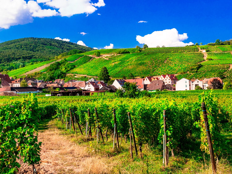 Alsace