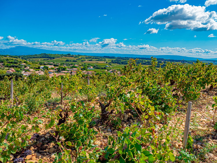 Châteauneuf-du-Pape