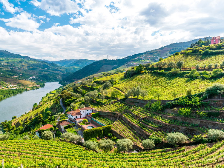 Douro