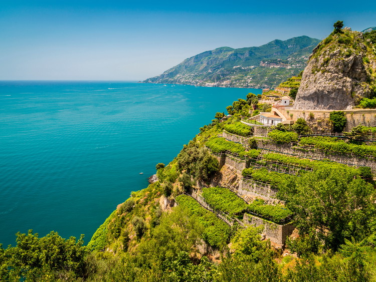 Campania