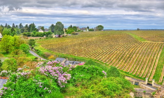Loire