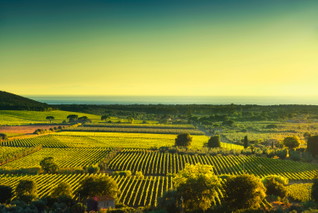 Maremma
