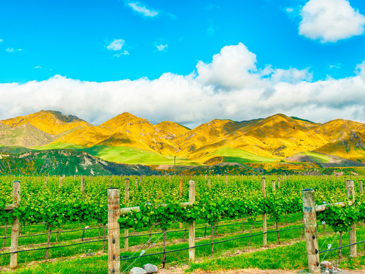 Marlborough