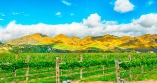 Marlborough