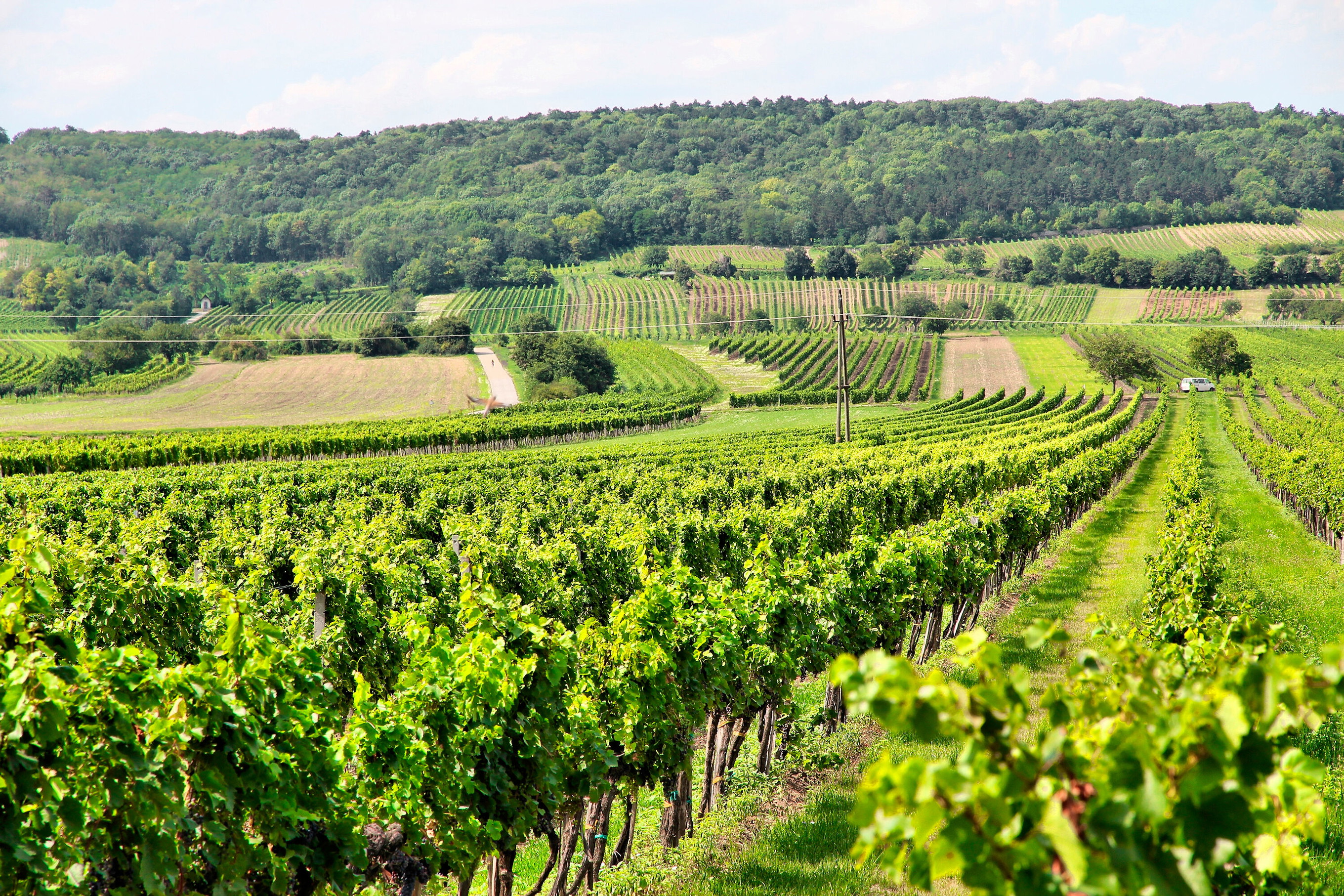 Central Burgenland