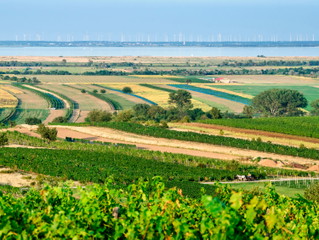 Neusiedlersee