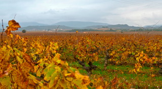 Penedès