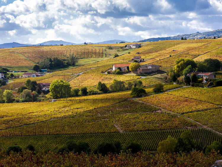 Côtes du Rhône