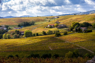 Côtes du Rhône