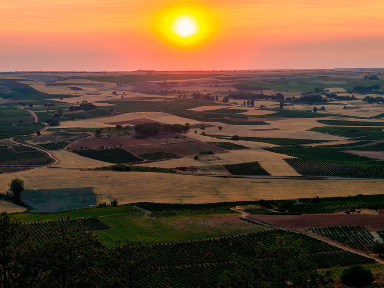 Ribera del Duero