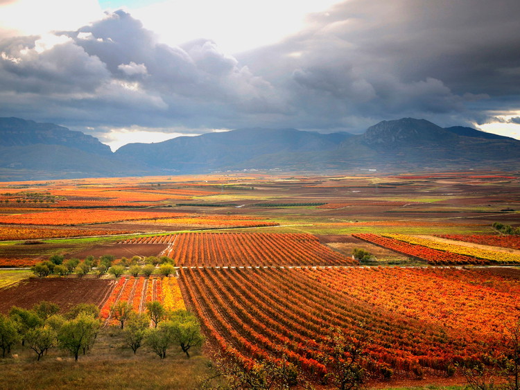 La Rioja