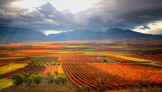 Rioja