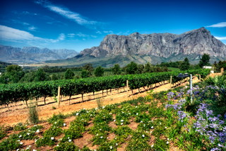Stellenbosch