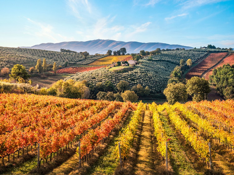Umbria