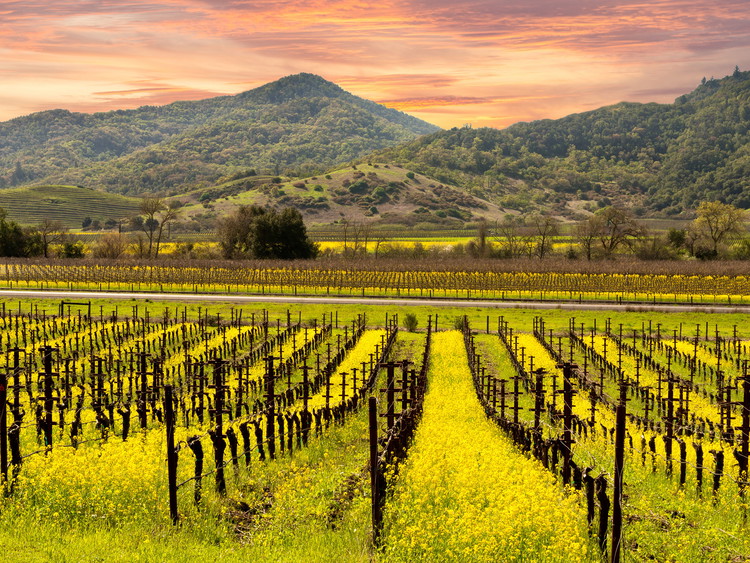 California
