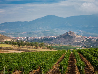 Bodegas Vivanco