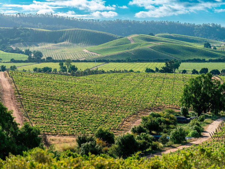 Casablanca Valley