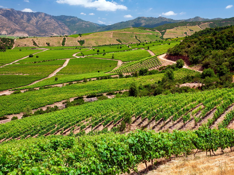 Colchagua Valley