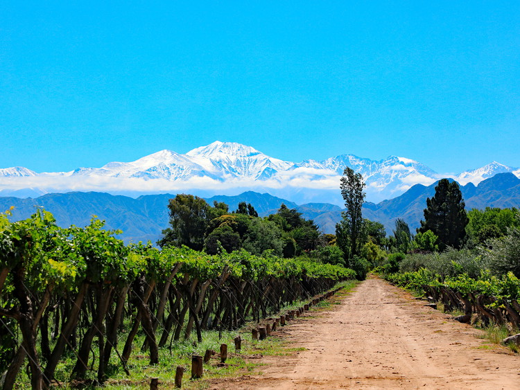 Mendoza