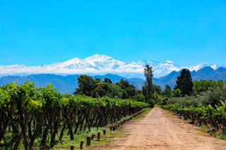Mendoza