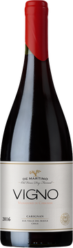 VIGNO ist ein Carignan aus einem alten, 4,5 Hektar großen Weinberg, der 1955 gepflanzt wurde. Es ist ein komplexer Wein mit großem Alterungspotenzial, der das ganze Potential dieser klassischen Sorte aus Maule zeigt. Der VIGNO ist einer der Weine, welche unter Vignadores de Carignan zusammengefasst sind, einer Vereinigung von Produzenten, die diese traditionelle Sorte fördern möchte.