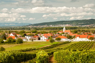 Leithaberg