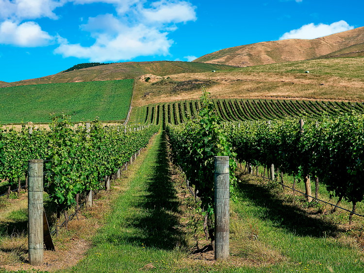 Martinborough