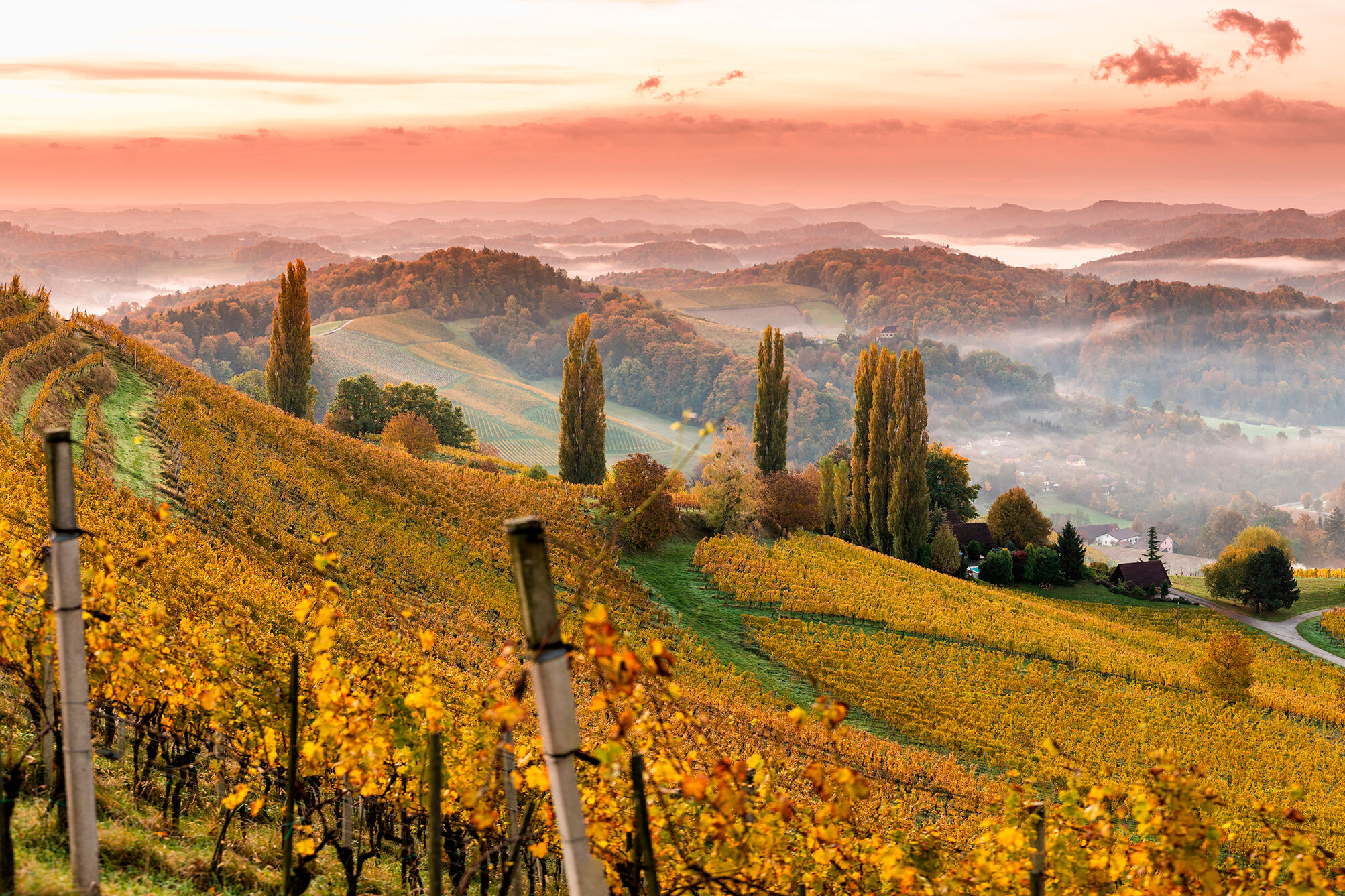 Südsteiermark